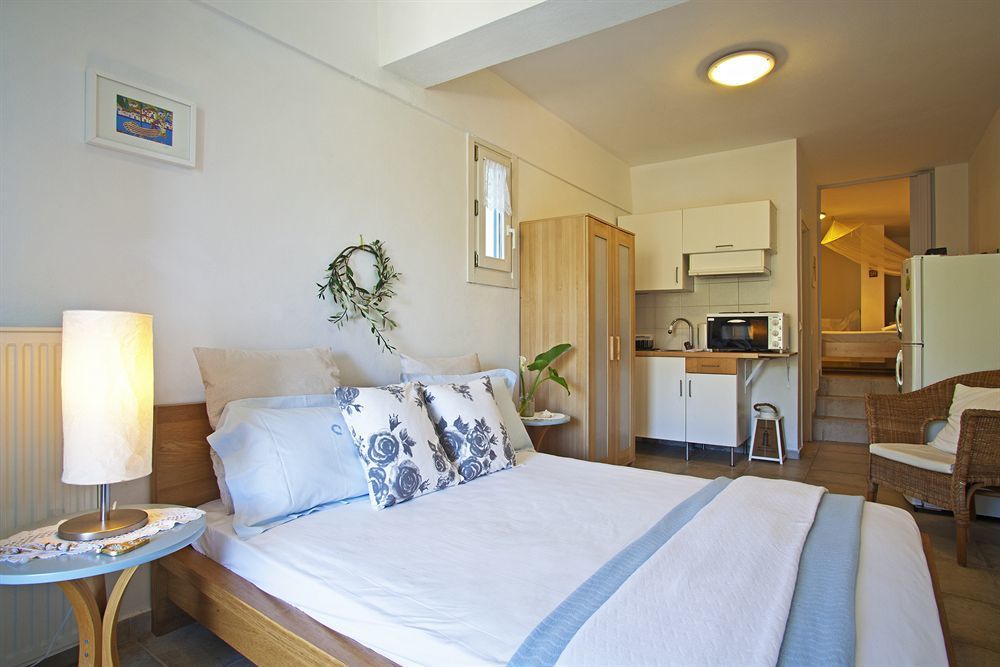 Anemomiloi Andros Boutique Hotel Extérieur photo