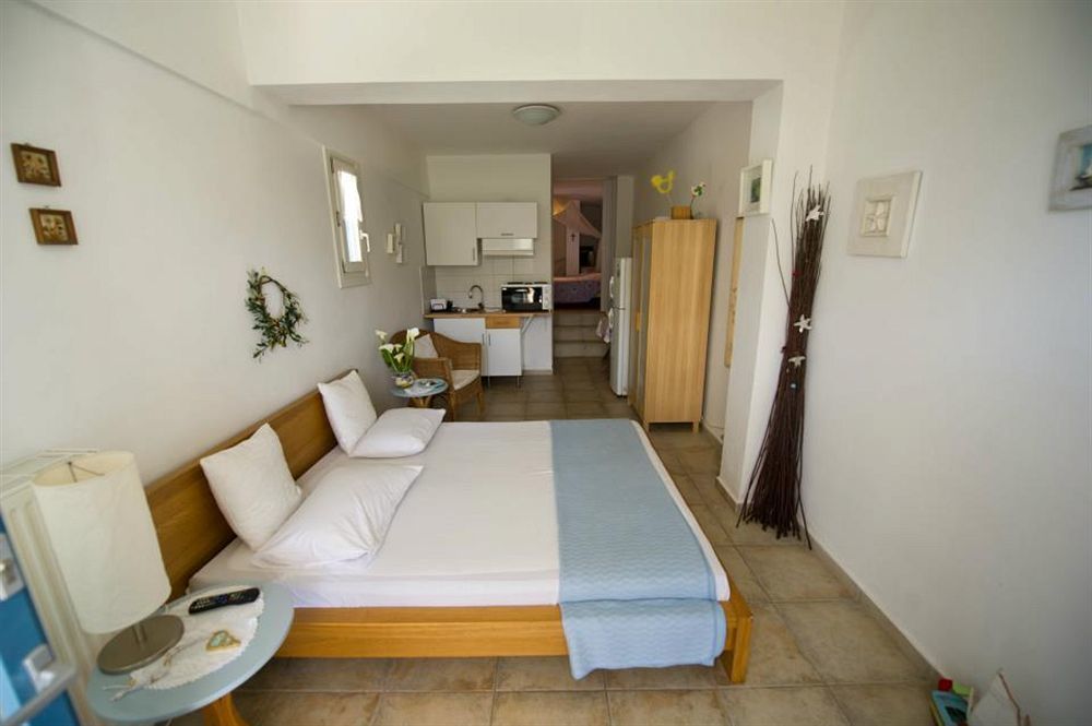 Anemomiloi Andros Boutique Hotel Extérieur photo